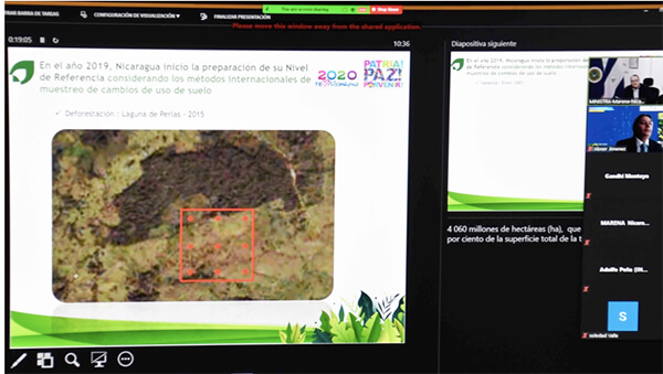 marena-en-seminario-sobre-metodologias-mapeo-de-bosques
